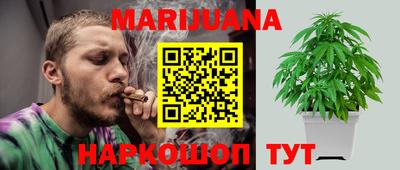 крисы Малгобек