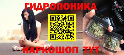 крисы Малгобек