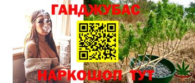 крисы Малгобек