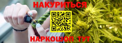 крисы Малгобек