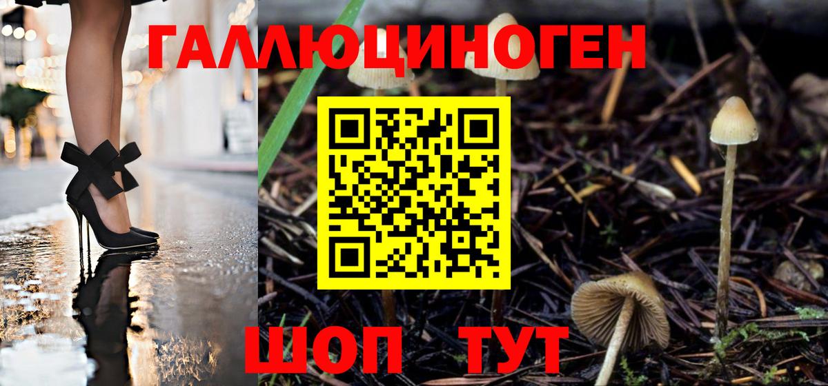 Псилоцибиновые грибы Cubensis  Вход с VPN  купить закладку  Туапсе 